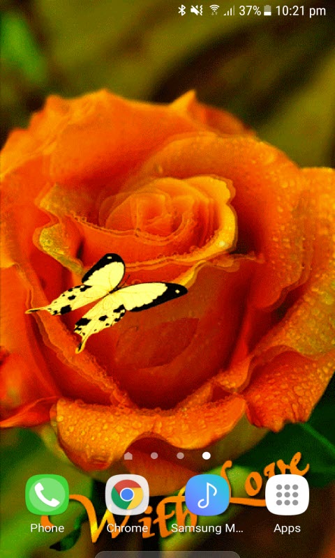 Orange Rose Butterfly LWP