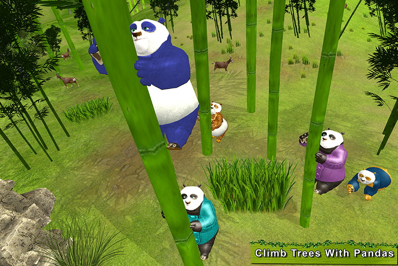 Sweet Panda Fun Games