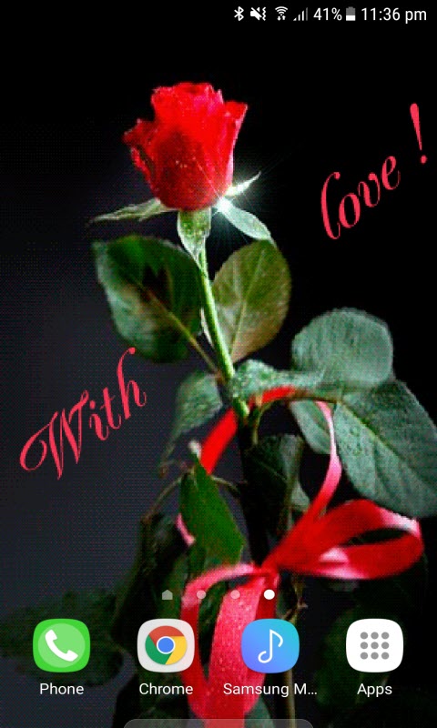 Valentine Rose Shine LWP
