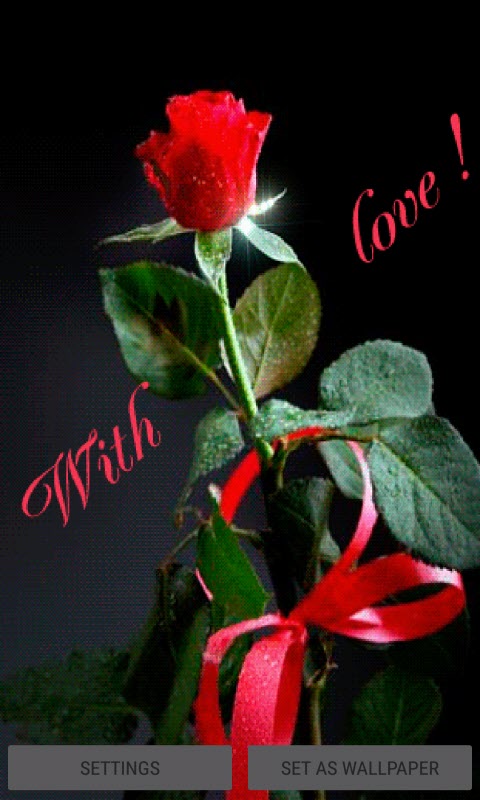 Valentine Rose Shine LWP