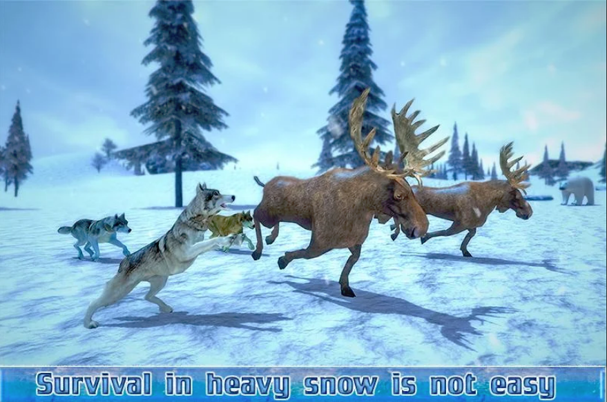 Arctic Wolf Sim 3D - Wild Animal Running Game