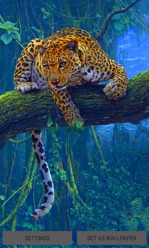 Jungle Leopard Live Wallpaper