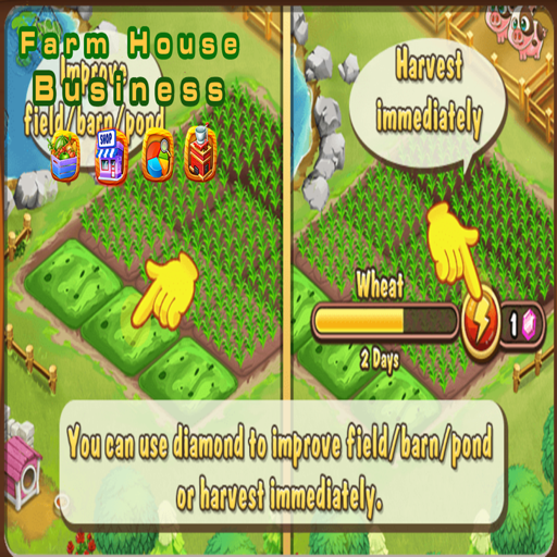 Farm House Business