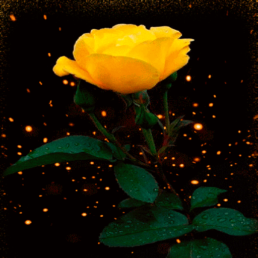 Yellow Shine Rose LWP