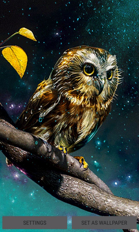 Golden Owl Live Wallpaper