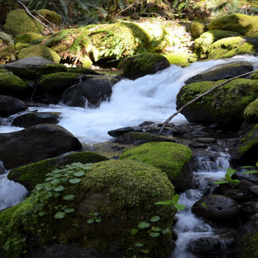 Nature Rocky Water LWP