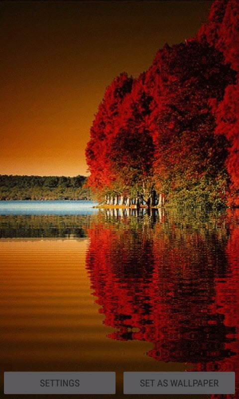 Red Tree Lake LWP