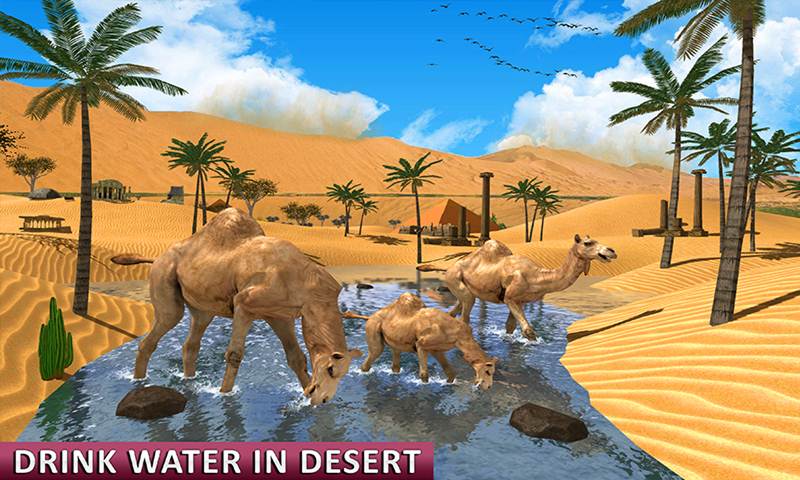 Camel Family Life Simulator