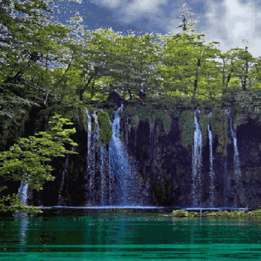 Nature Jungle Waterfall LWP