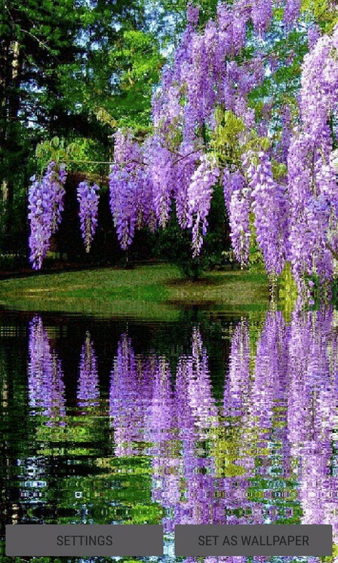 Purple Flower Garden LWP