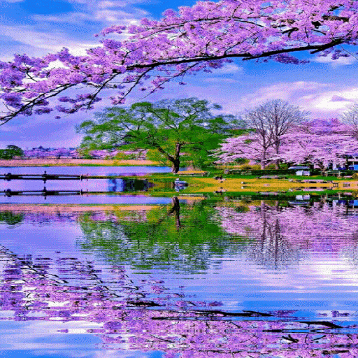 Purple Flowers Lake LWP