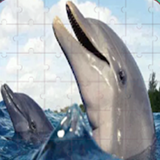 Real Dolphins Game : Jigsaw Puzzle 2019