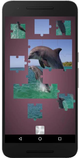 Real Dolphins Game : Jigsaw Puzzle 2019