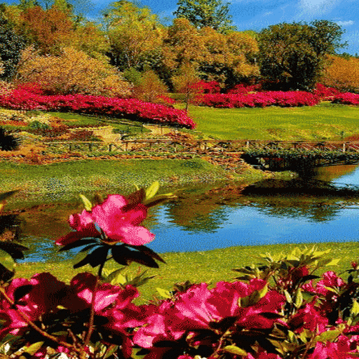 Red Flowers Park LWP