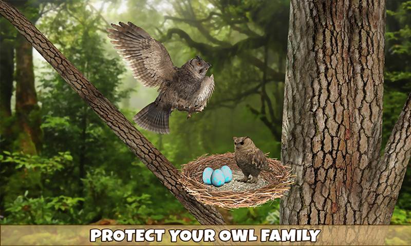 Wild Owl Bird Family Survival