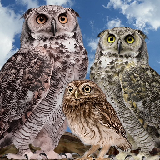 Wild Owl Bird Family Survival