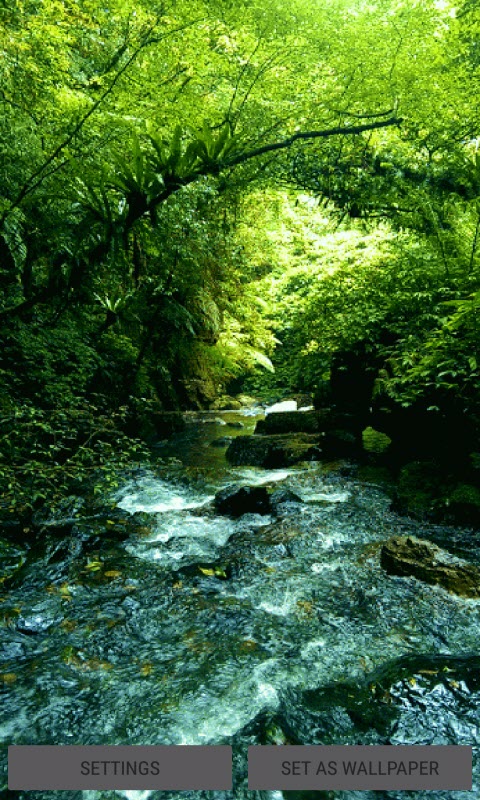 Green Forest River LWP