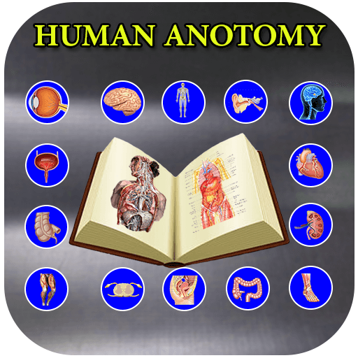 Human Anatomy and Physiology