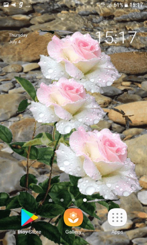 Pink White Roses LWP