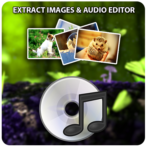 Video to Audio -image extract