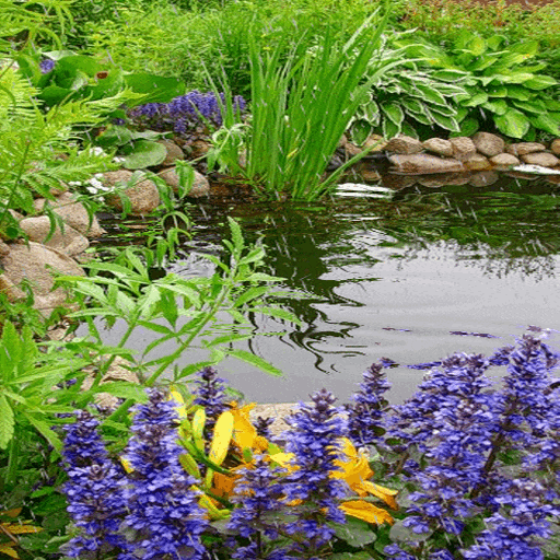 Rainy Garden Plants LWP