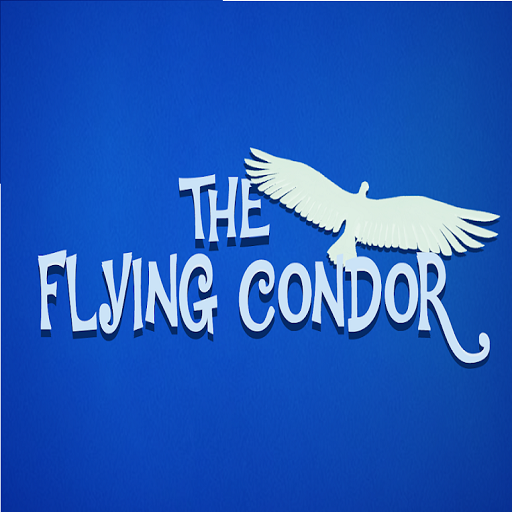 Flying Condor