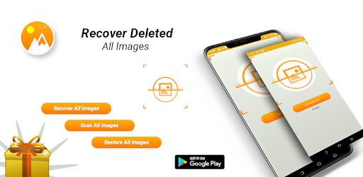 Image Recovery pro