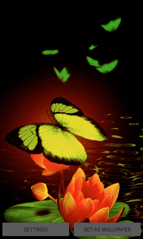 Green Butterflies Live Wallpaper