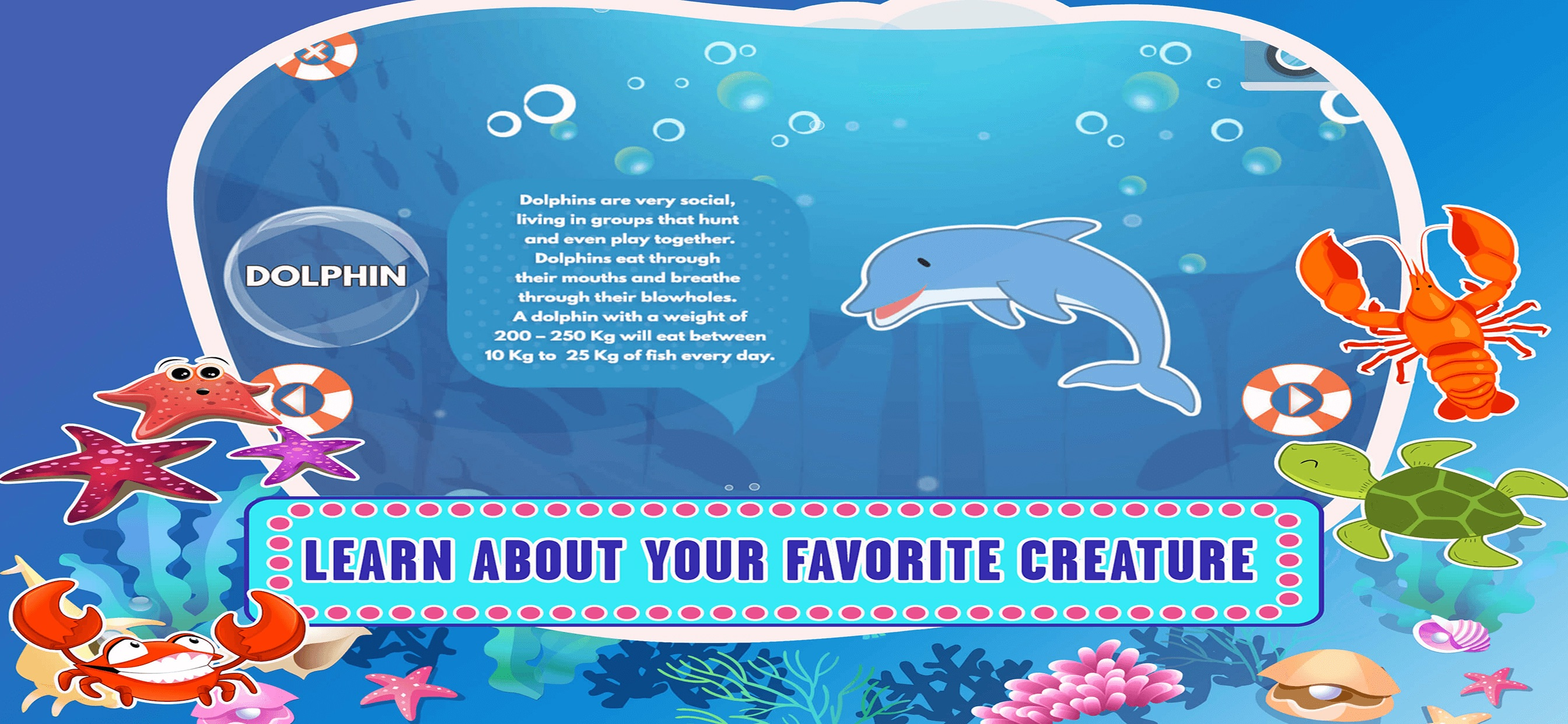 Learn Sea World Animal Game-Name Puzzle Colouring