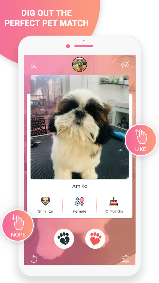 Petamiko - Find Friends For Your Furry!