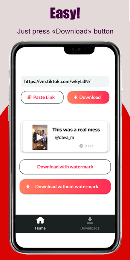 TikTok Video Downloader No Watermark - sssTik