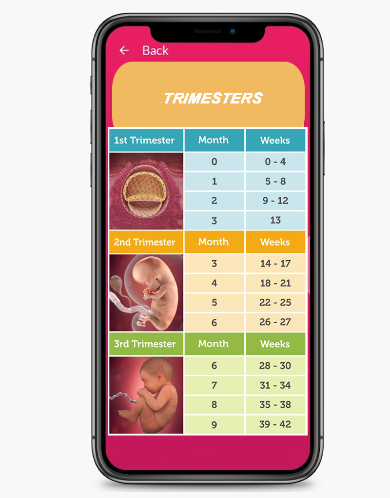 Baby Due Date Countdown Pregnancy Calculator