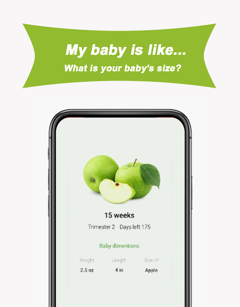 Trimester Of Pregnancy App