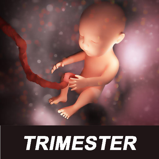 Trimester Of Pregnancy App