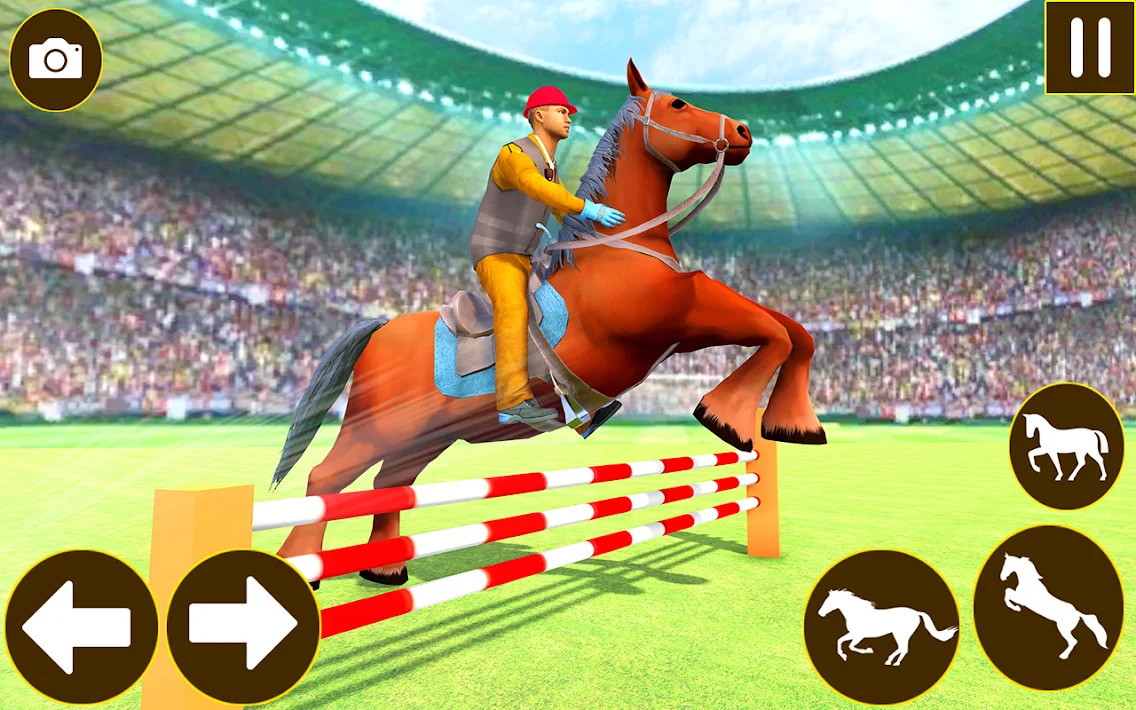 Ultimate Horse Jumping Show