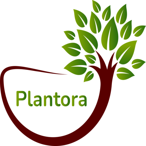 Plantora- Plant Identify, Care