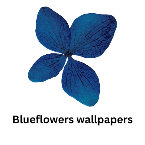 Blueflowers wallpaper