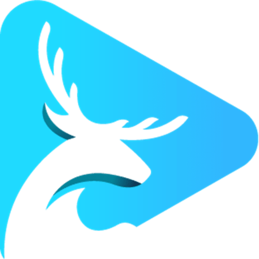 Stag VPN - Fast VPN App 2024