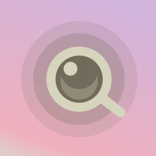 DETEKCAM: Hidden Camera Detector