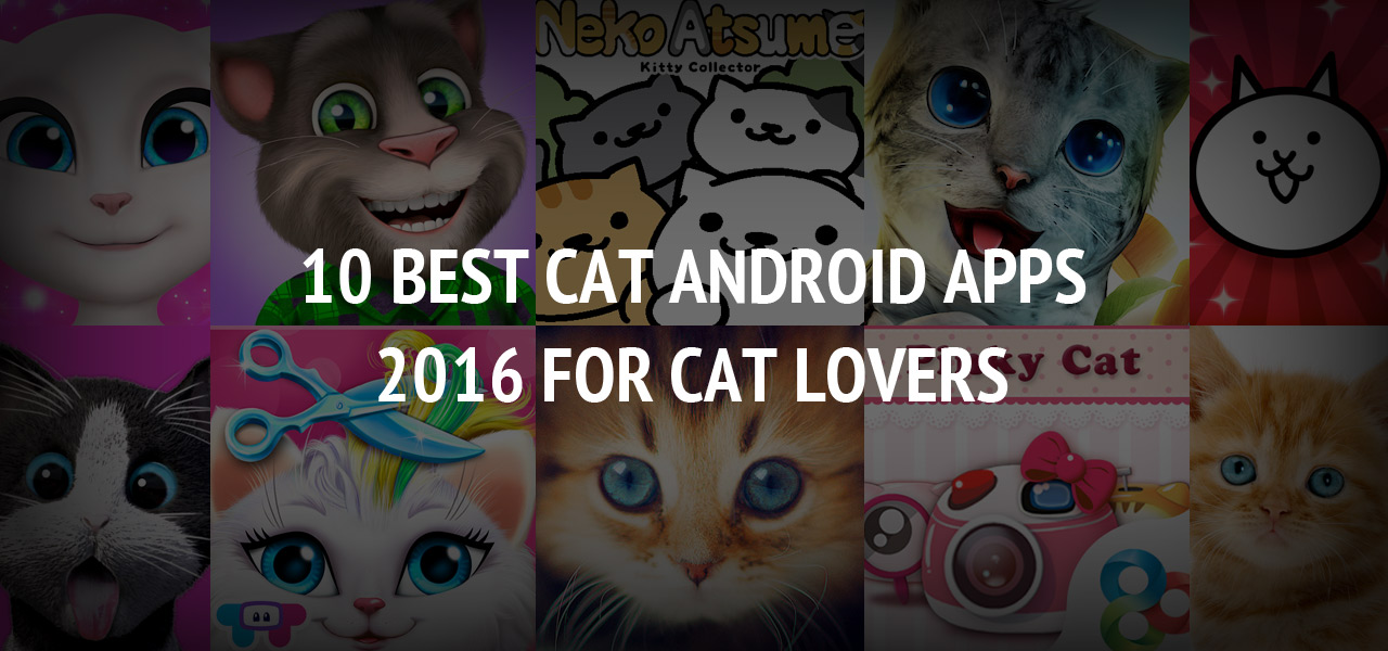 10 Best Cat Android Apps 2016 for Cat Lovers 